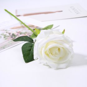 Hoa hồng trang trí nhà cửa (1 bông) 11