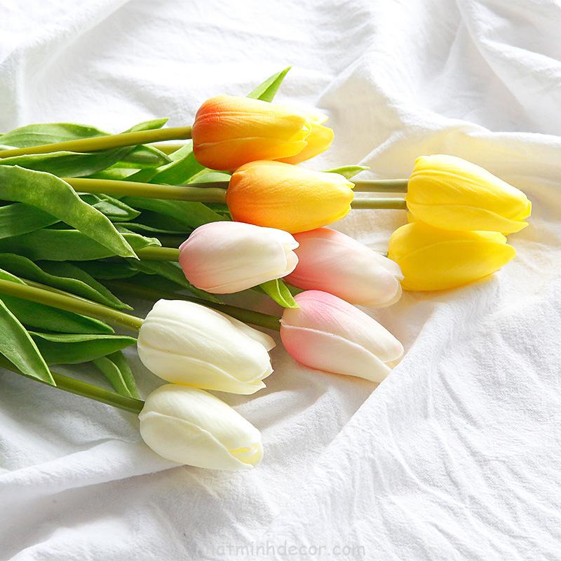 Hơn 1000 hình nền đẹp hoa tulip Miễn phí tải về