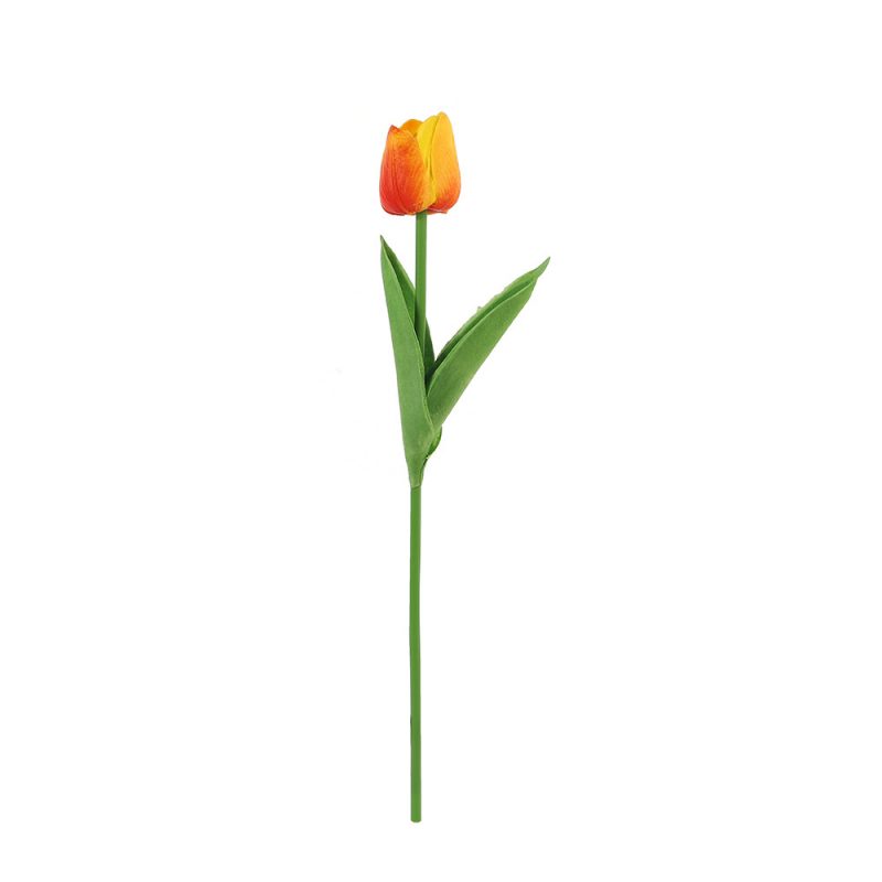Hoa Tulip Chụp Ảnh ( Nhiều Màu) 15