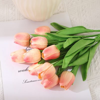 Hoa Tulip Chụp Ảnh ( Nhiều Màu) 20