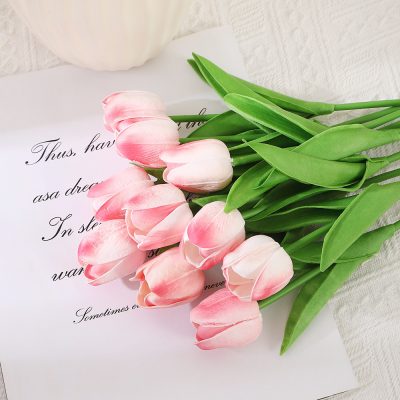 Hoa Tulip Chụp Ảnh ( Nhiều Màu) 22
