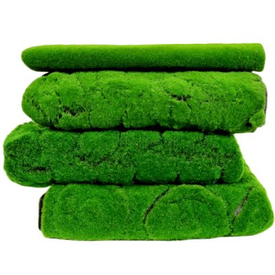Thảm rêu chụp ảnh nhiều kích thước 15
