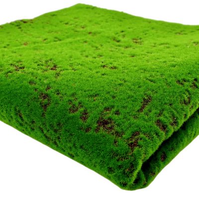 Thảm rêu chụp ảnh nhiều kích thước 16