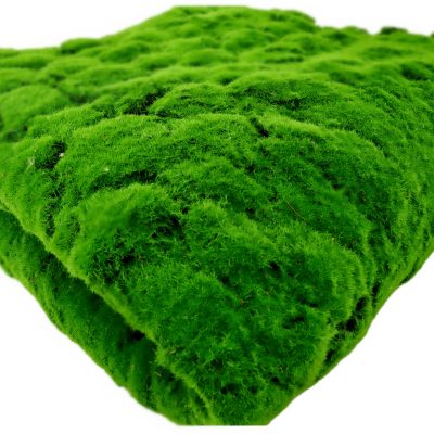 Thảm rêu chụp ảnh nhiều kích thước 17