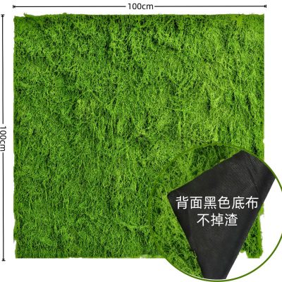 Thảm rêu chụp ảnh nhiều kích thước 18