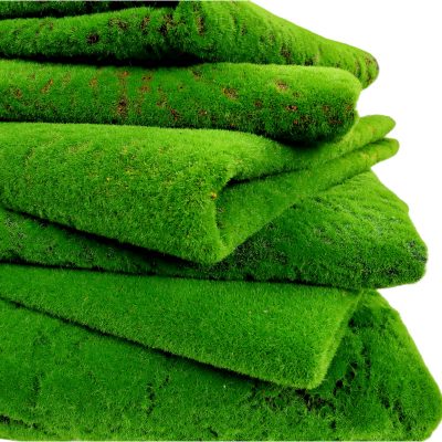 Thảm rêu chụp ảnh nhiều kích thước 19