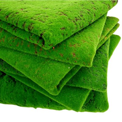 Thảm rêu chụp ảnh nhiều kích thước 14