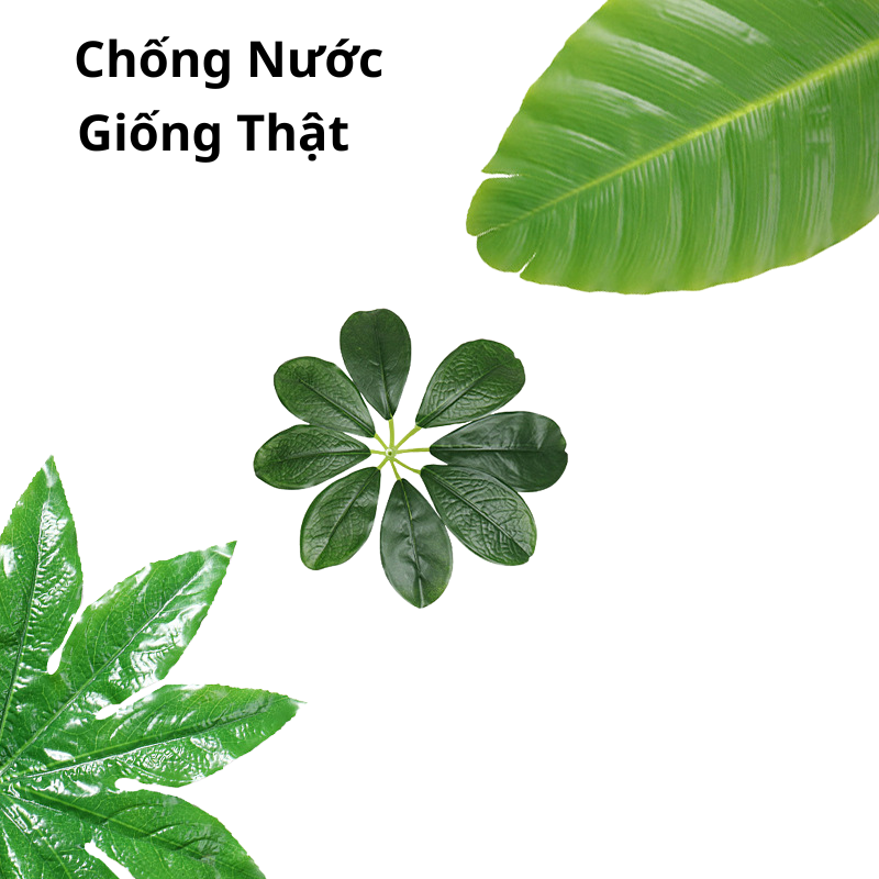 10 Lá Cây Chụp Ảnh, Trang Trí Nhà Cửa, Lá Chuối, Lá Sen 3