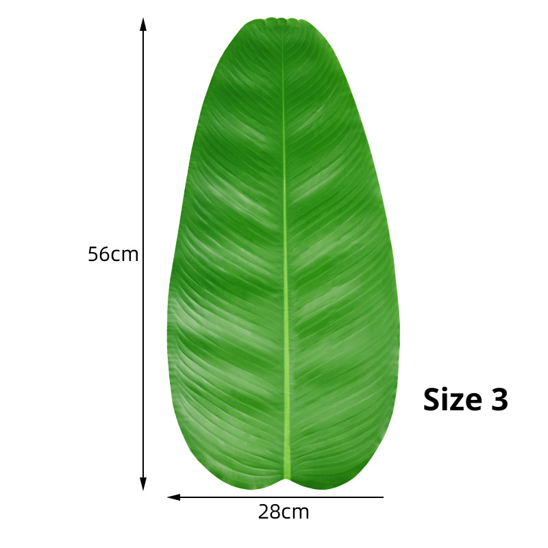 5 Lá Cây Chụp Ảnh, Trang Trí Nhà Cửa, Lá Chuối, Lá Sen 7