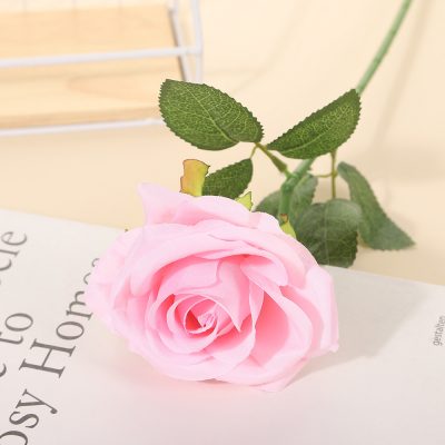 Hoa Hồng Vĩnh Cửu Phụ Kiện Chụp Ảnh, Trang Trí Nhà Cửa 24