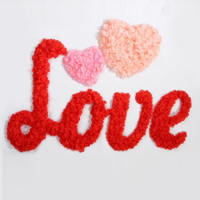 Cánh Hoa Hồng Phụ Kiện Chụp Ảnh 21